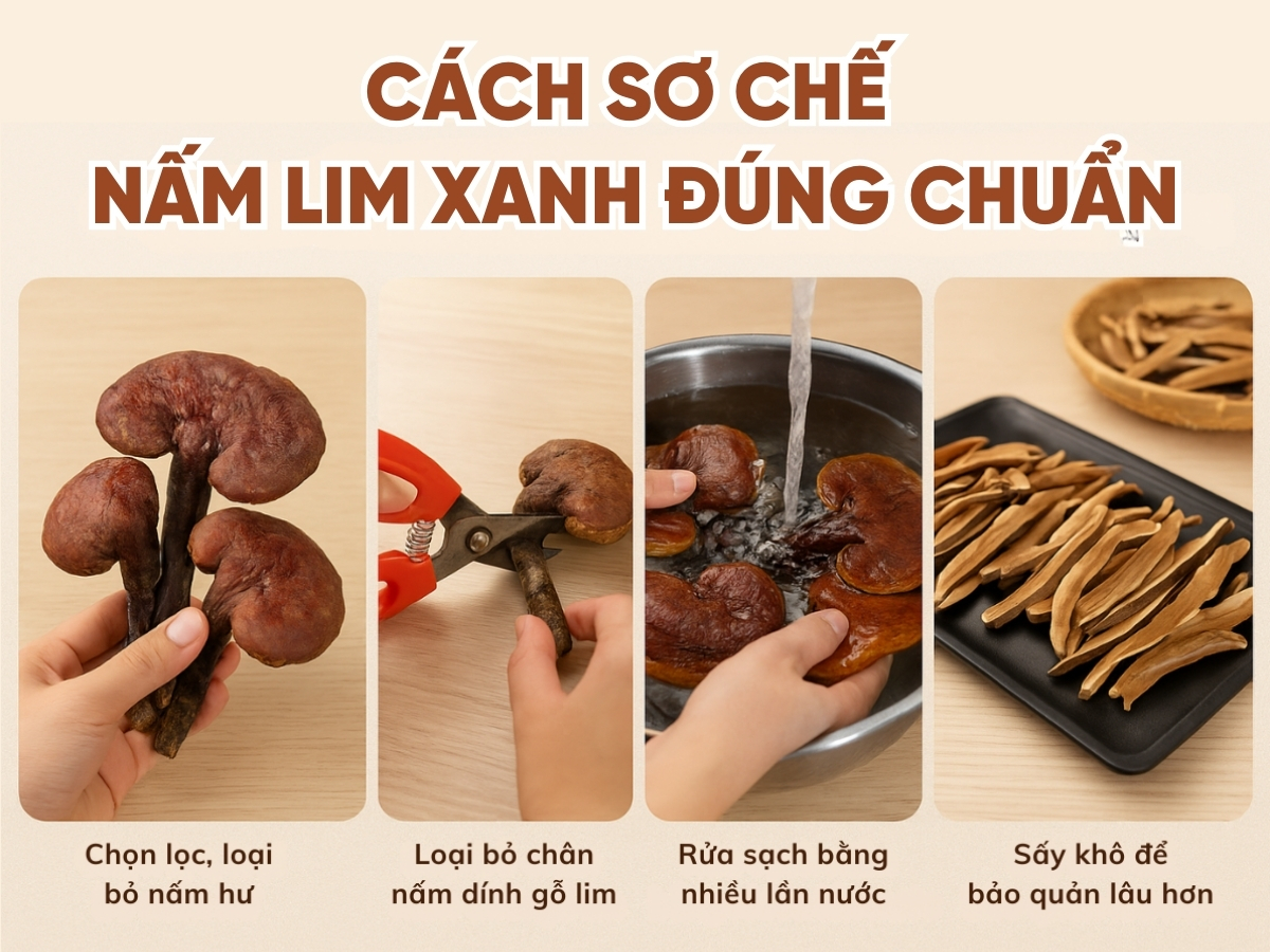 Cách đun nấm Lim Xanh đúng chuẩn